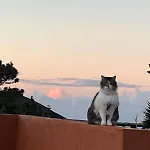 La Casa Del Volcan Las Indias