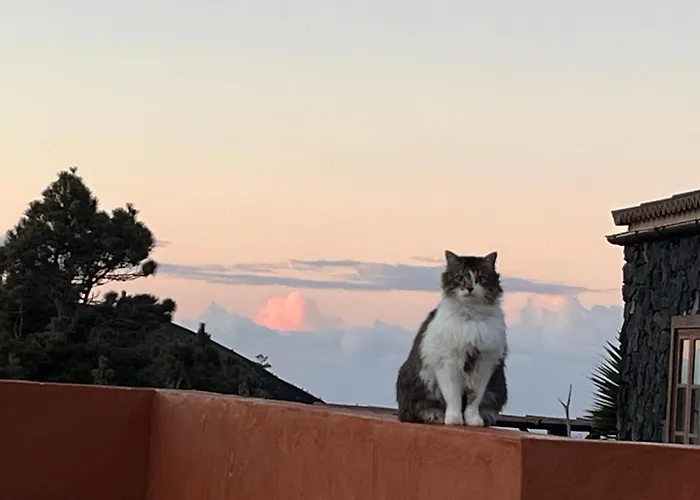 La Casa Del Volcan Las Indias