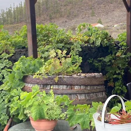 La Casa Del Volcan Villa *