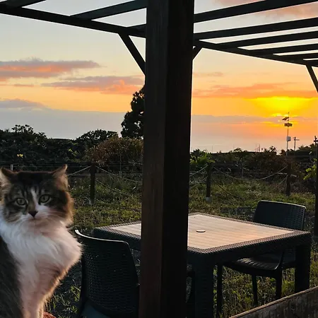Villa La Casa Del Volcan Las Indias